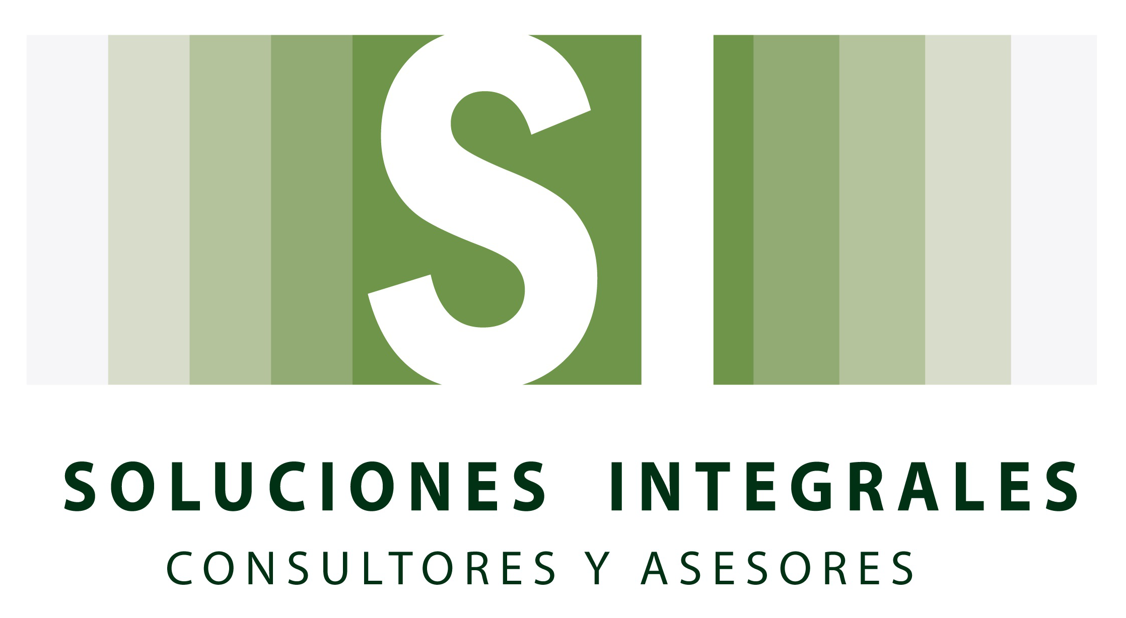 SOLUCIONES INTEGRALES Consultores y Asesores
